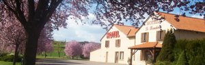 Hotel Brioude Le Baudiere 